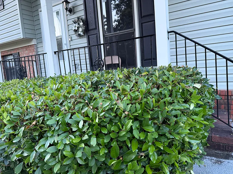 Fair Oak Ct — Photo 8