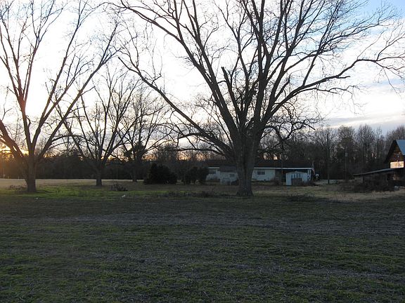 Back Yard with Pecan trees.