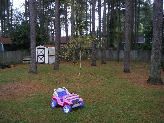 Yard with Shed