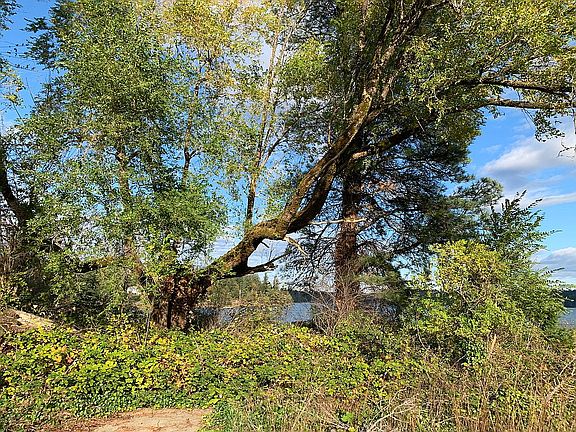 2nd image of 3990 E State Route 3