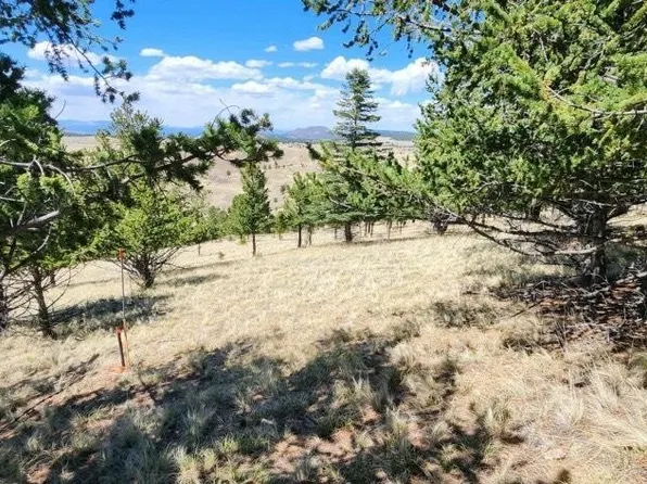 515 Gameridge Rd, Westcliffe, CO 81252