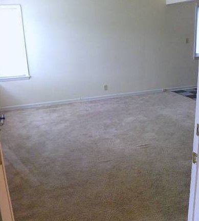 Carpeted living room