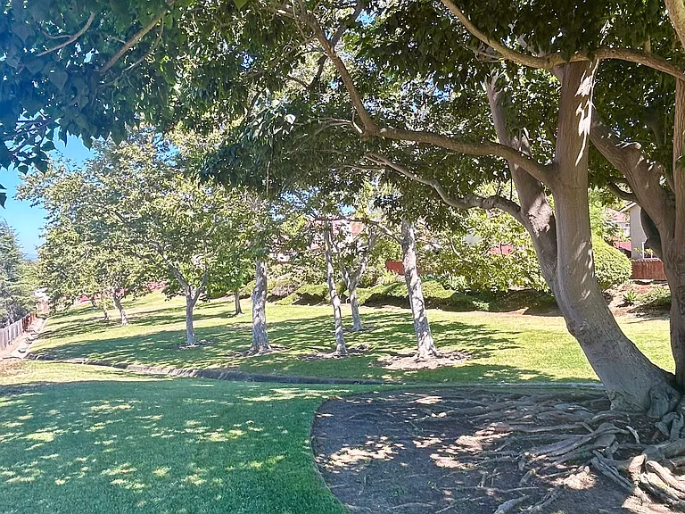Pointer Gln — Photo 16