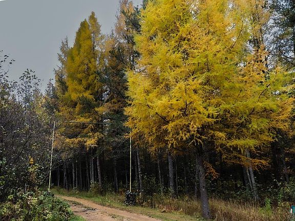 4th image of 7839 Stromberg Rd