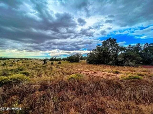 8729 Water Tank Cir #399, Williams, AZ 86046