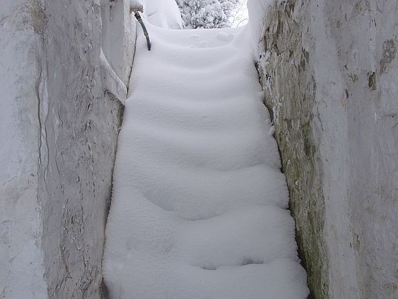 Root Cellar Stairs