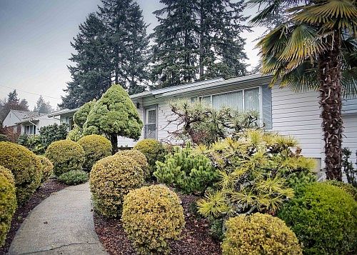 4th image of 8921 Gayle Ave S