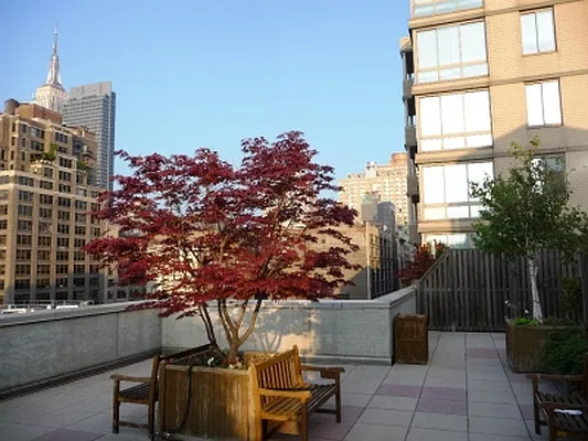 Rented by Citi Habitats | media 5