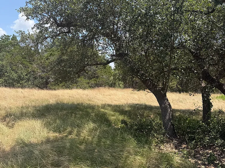 22167 FM 306 — Photo 14