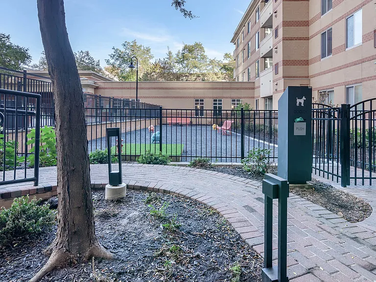 Dog Park