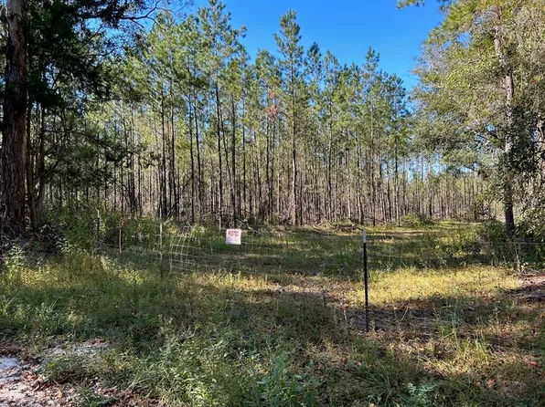 SW Catherine Ln, Lake City, FL 32025