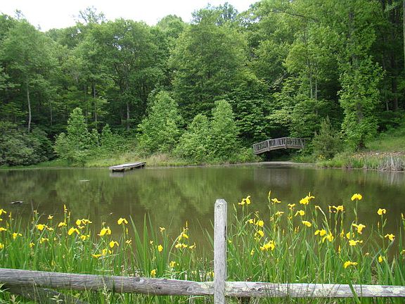 3rd image of Dogwood Trail