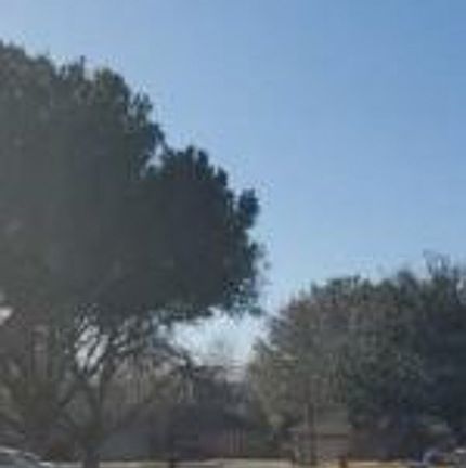 Exterior Neighborhood (street photo)
