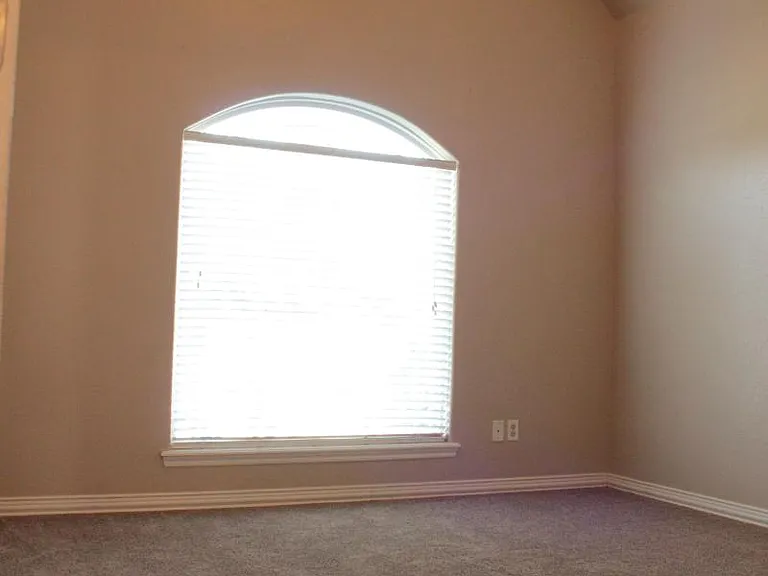 Beautiful Windows in the Front Office