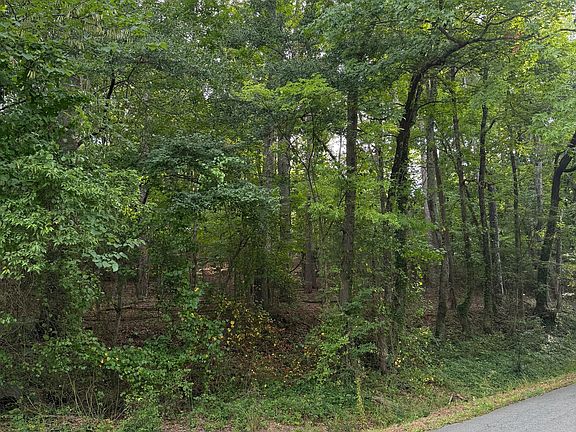 3rd image of 0 Callier Springs Rd