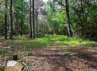 152 Robertson Dr, Altoona, AL 35952