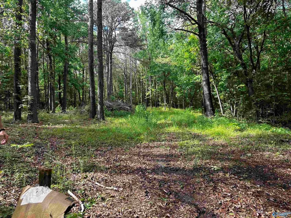 152 Robertson Dr, Altoona, AL 35952