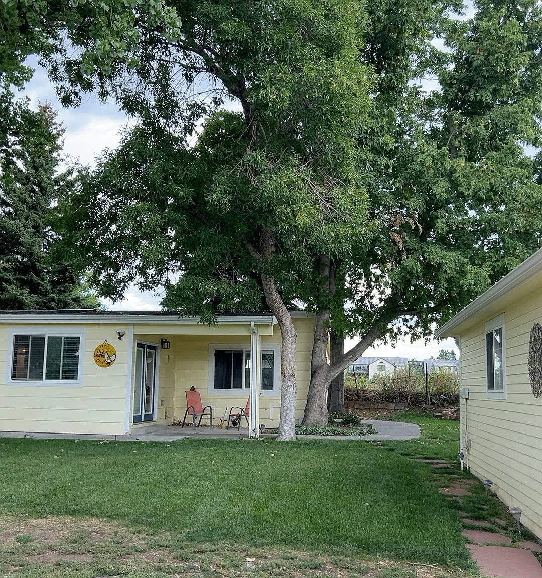 1 bed, 850 sqft, $1,800 — Photo 2