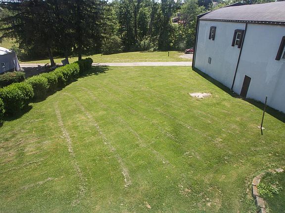 back yard