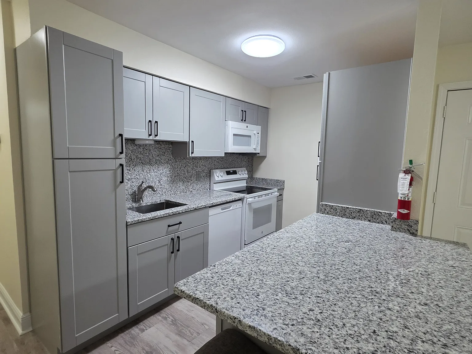 1 bed, 567 sqft, $1,250 — Photo 2