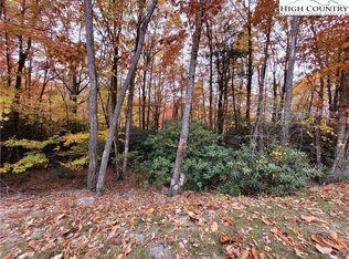 1134 Pine Ridge Rd, Beech Mountain, NC 28604