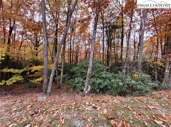 1134 Pine Ridge Road, Beech Mountain, NC 28604