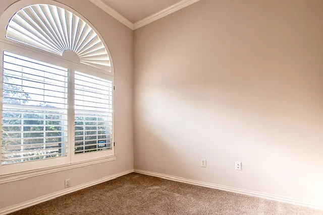 8017 Springmoss Dr — Photo 19