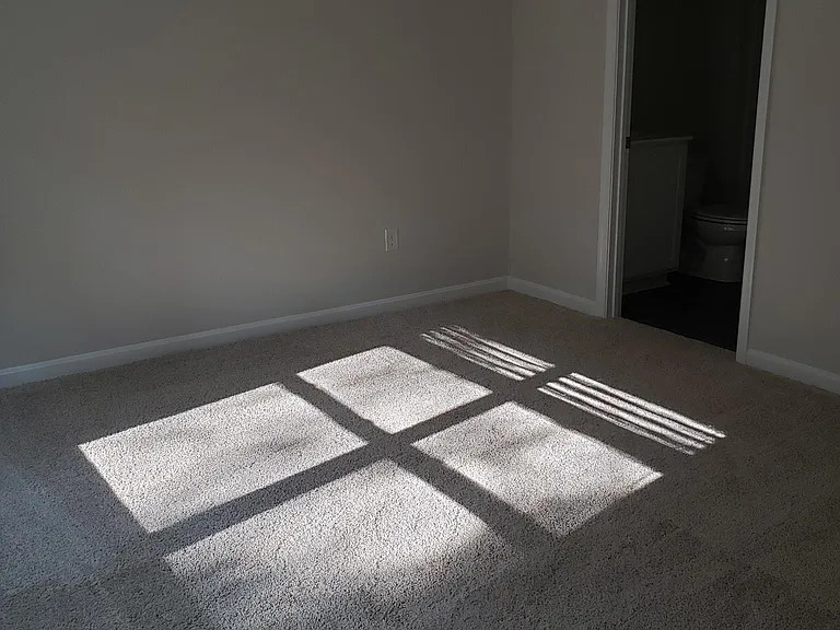 31814 Geyser Ct — Photo 11