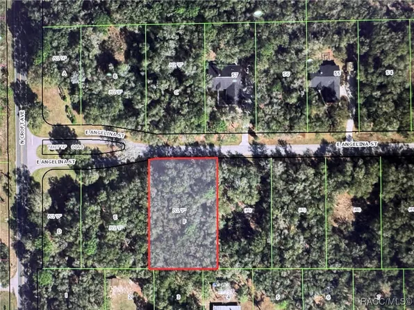 2962 E Angelina St, Inverness, FL 34453