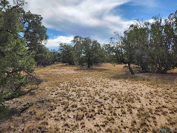 2nd image of 136 Ponderosa View Loop
