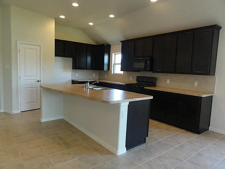 4203 Vining Rose Ct — Photo 3