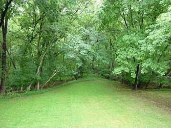 5th image of 9101 Wandering Trail Dr