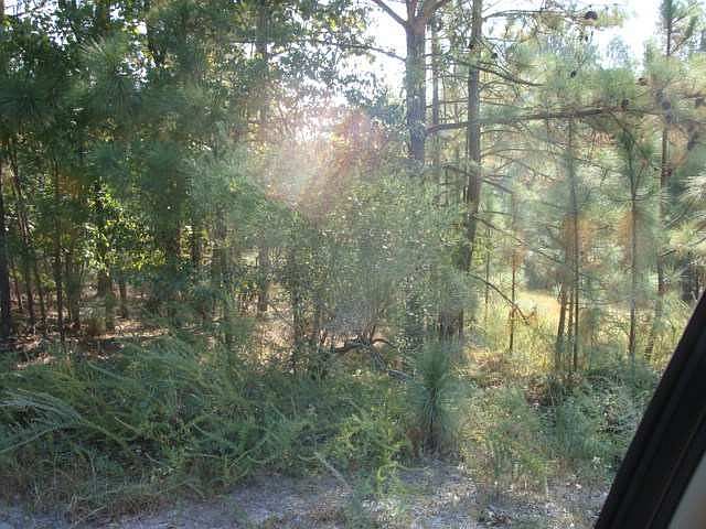 1st image of 35 & 37 Tree Bark Lane LOT 35 & 37