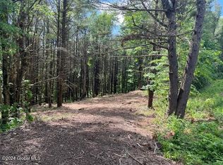 L67 Old Ghost Road Lot 6, Canaan, NY 12125