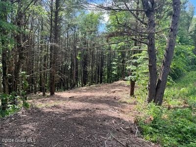 L67 Old Ghost Road Lot 6, Canaan, NY, 12029