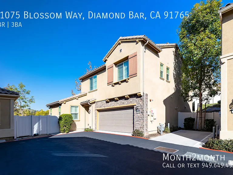 21075 Blossom Way — Photo 33