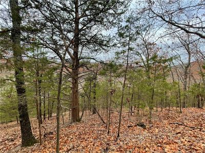 Ridge Rd #27, Garfield, AR, 72732