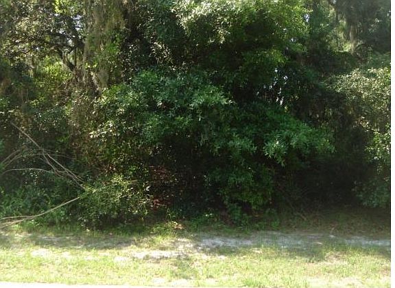 3rd image of 1330 Montoya Dr