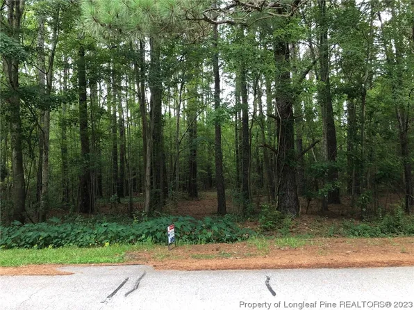 Antioch Ln, Lumberton, NC 28358