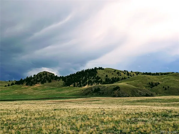 2667 Cahokia Road, Hartsel, CO 80449