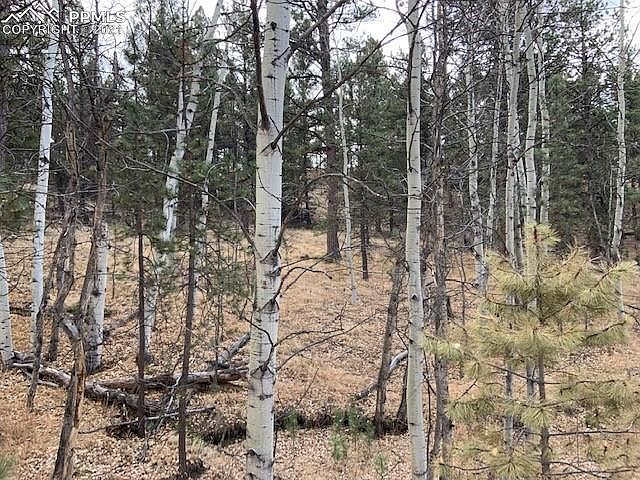 1st image of 124 Navajo Trl