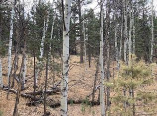 124 Navajo Trl, Florissant, CO 80816