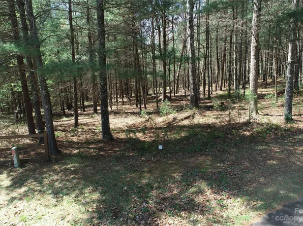 1301 Scenic Vista Dr, Nebo, NC 28761