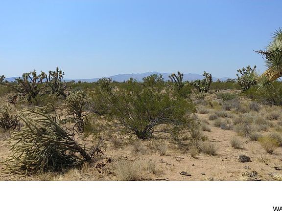 5th image of 250 Cattle Crossing Rd Lot 250