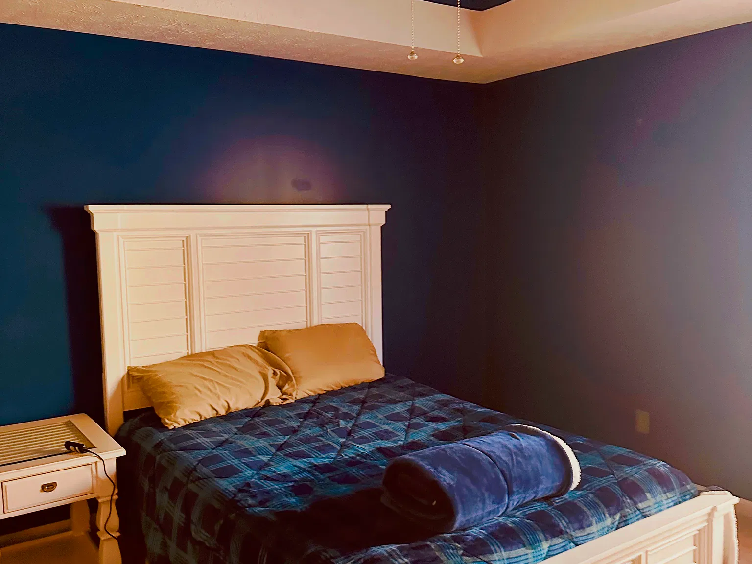 3 bed, 1317 sqft, $2,800 — Photo 3