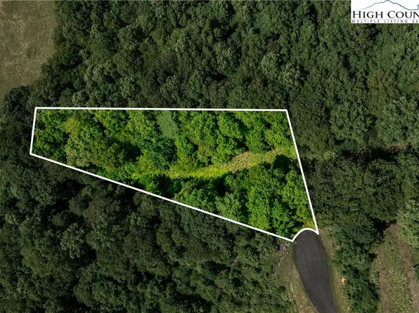 Lot 30 Lake Ridge, Butler, TN 37640