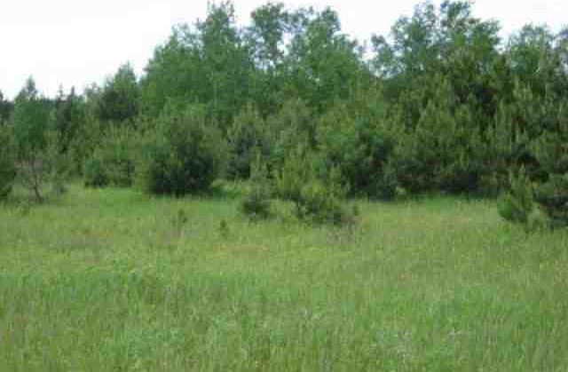 2nd image of Echo Ln Lot 11