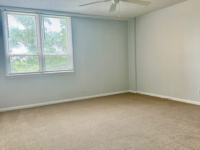 2617 Cove Cay Dr #1-311 — Photo 18