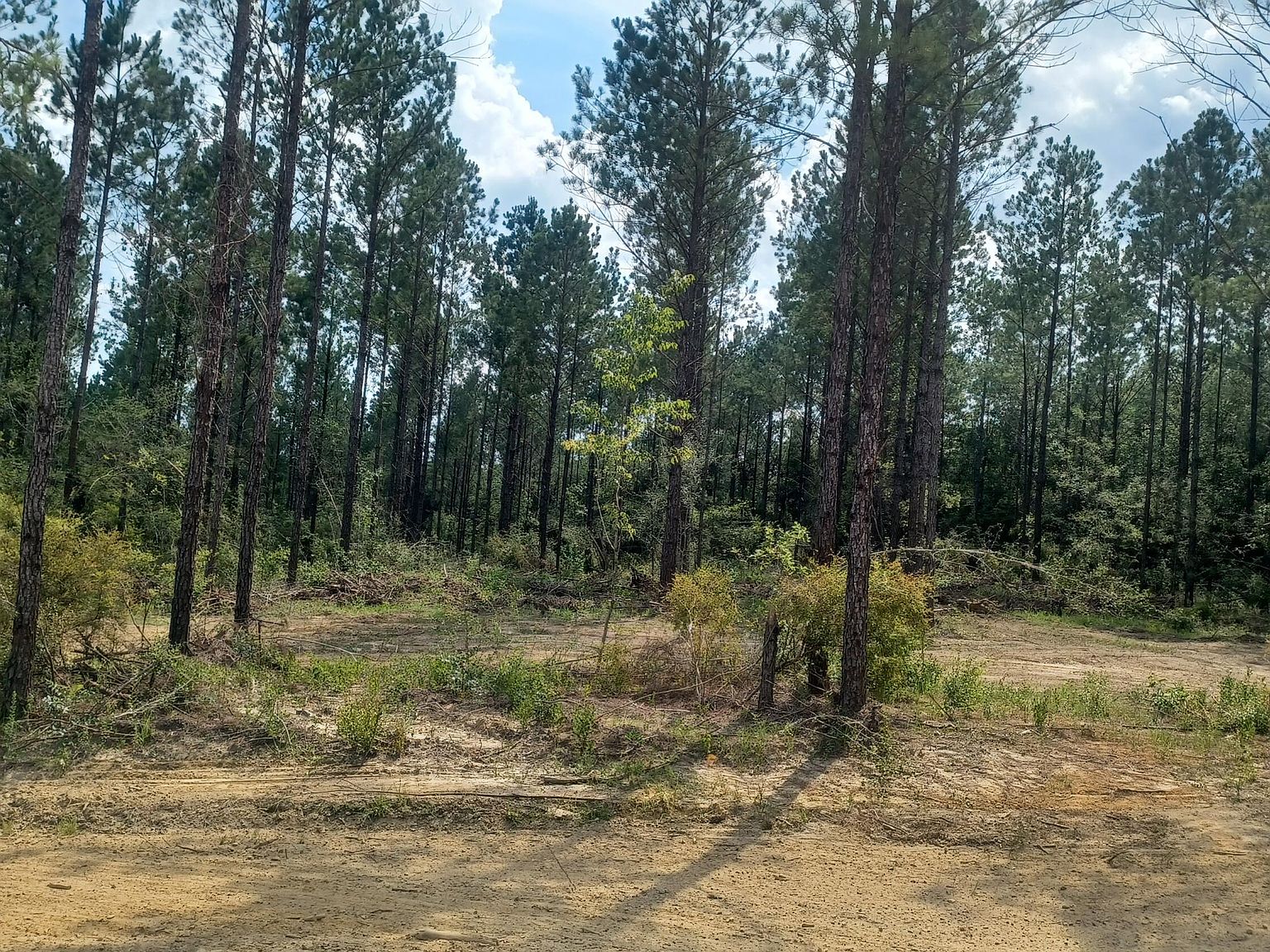 0 Firetower Rd, Kiln, MS 39556 MLS 4072370 Zillow