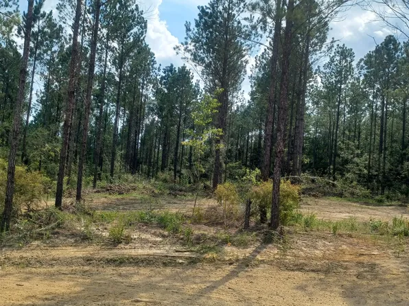 0 W Firetower Rd, Kiln, MS 39556